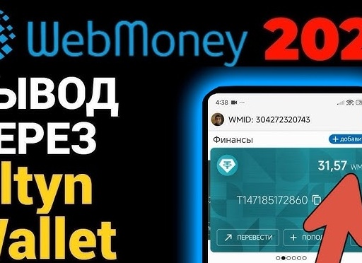 Выводим деньги с Вебмани Выводим деньги с Вебмани