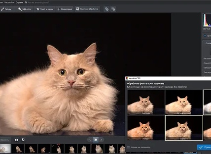 Программы-аналоги Adobe Lightroom