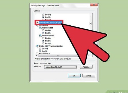 Элементы управления ActiveX в Internet Explorer Элементы управления ActiveX в Internet Explorer